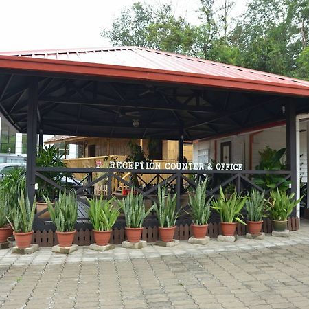 فندق Borneo Tree House كوتا كينابالو المظهر الخارجي الصورة