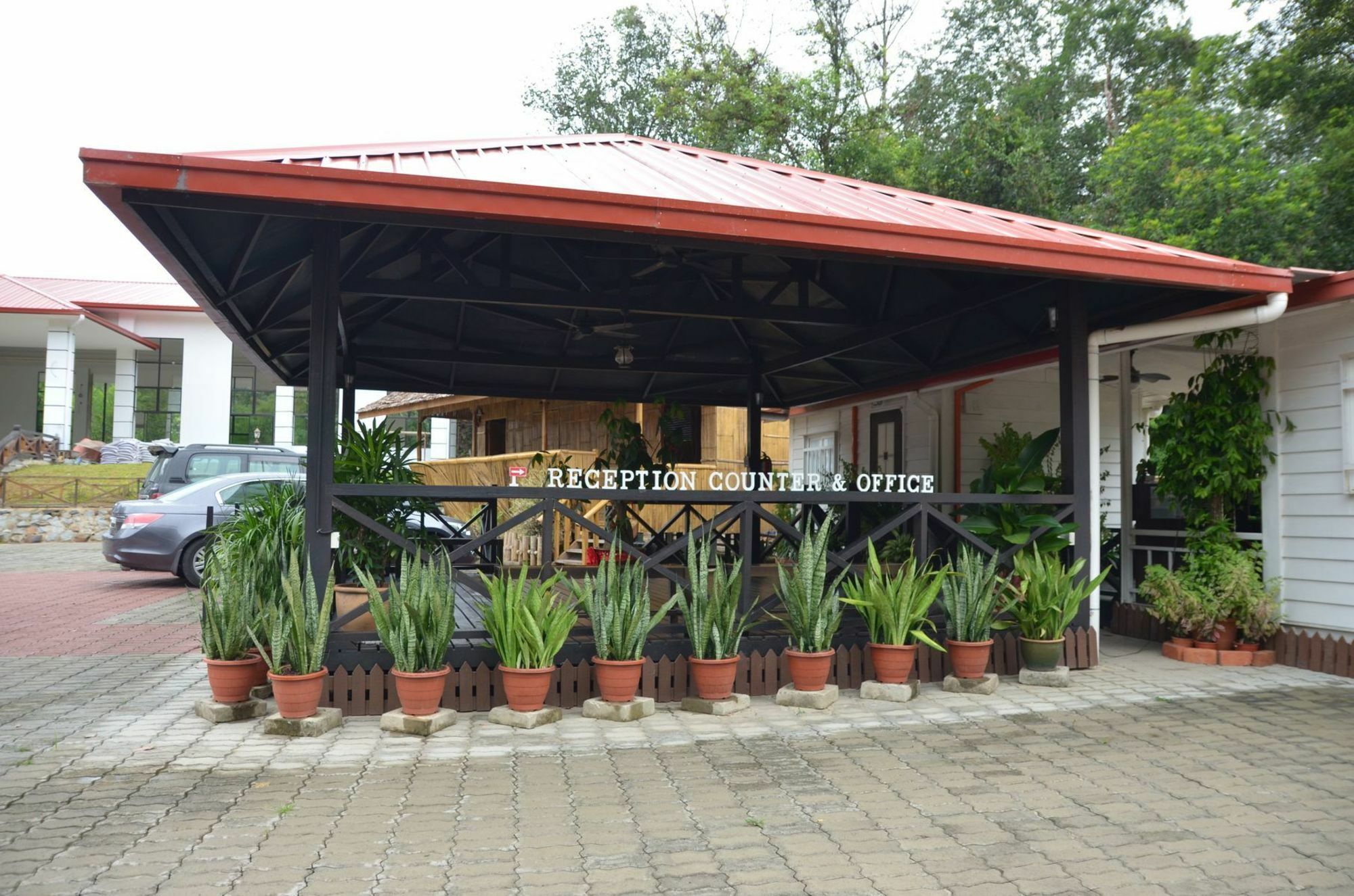 فندق Borneo Tree House كوتا كينابالو المظهر الخارجي الصورة