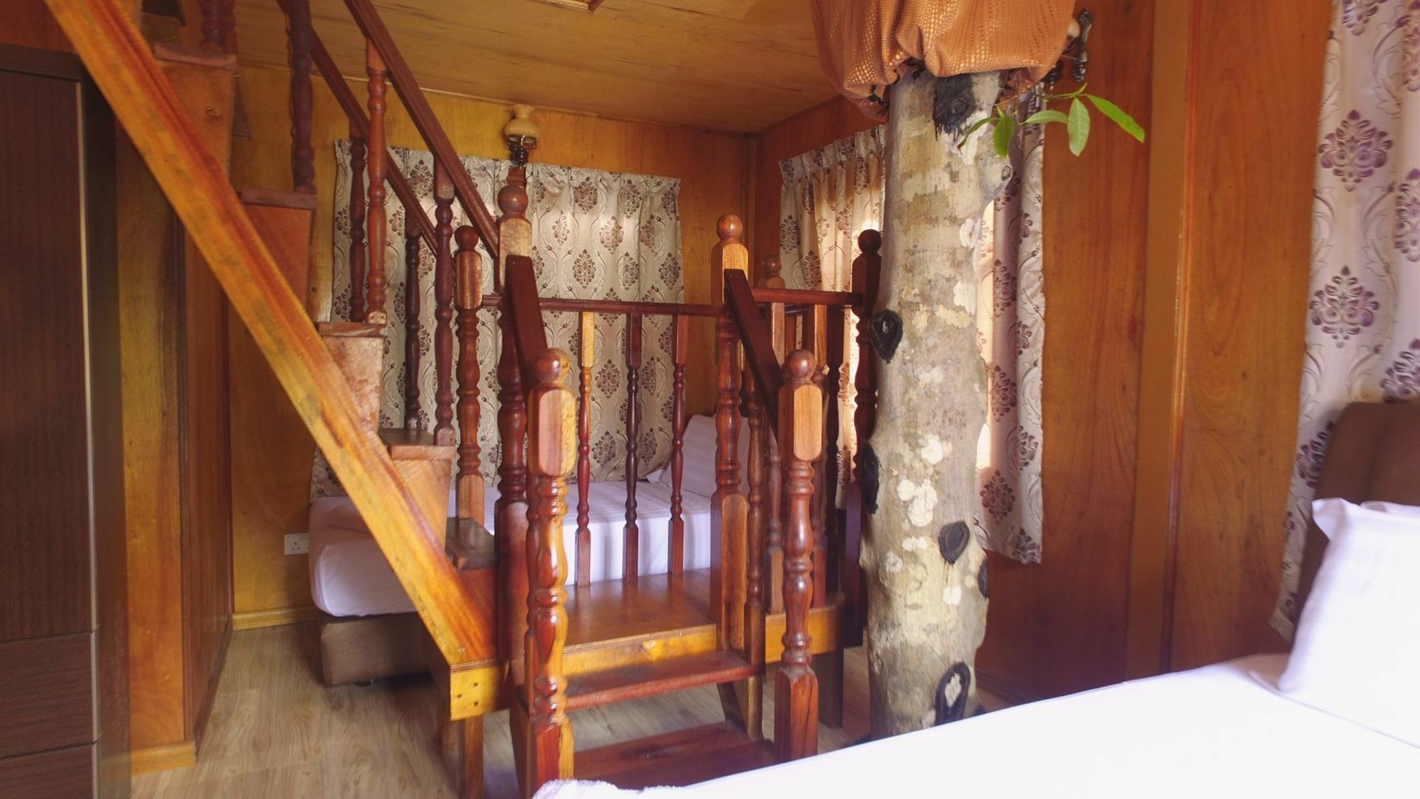 فندق Borneo Tree House كوتا كينابالو المظهر الخارجي الصورة